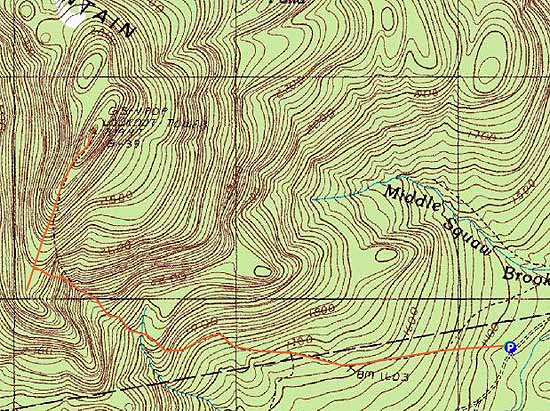 Topographic map of Big Squaw Mountain