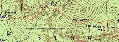 Topographic map of Blueberry Mountain - Click to enlarge