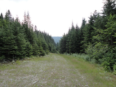 The beginning of the ATV road (sharp right turn not visible)