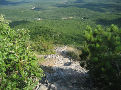 Looking down the trail to Burnt Meadow Mountain
