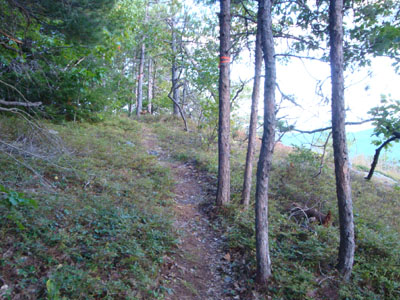 Looking up the loop trail to Burnt Meadow Mountain