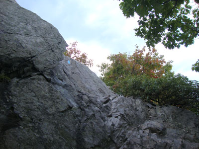 Looking up the Burnt Meadow Trail