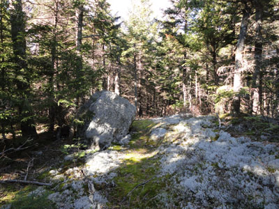 The Red Rock Trail on the way to Butters Mountain