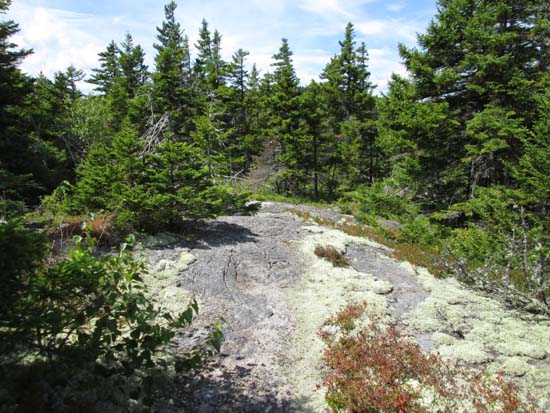 The Red Rock Trail on the way to Butters Mountain