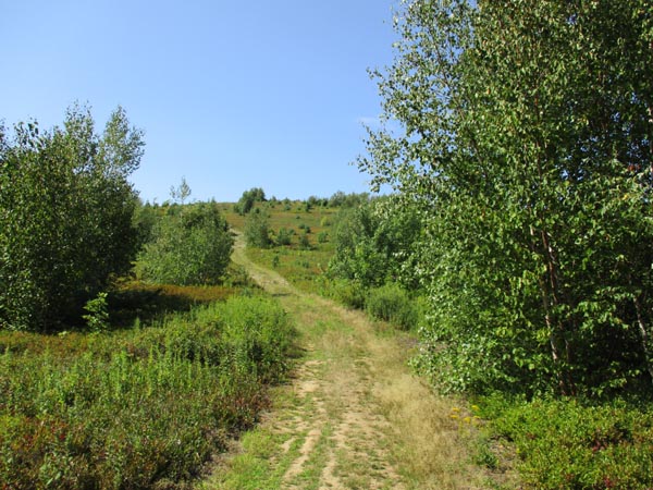 Cameron Mountain