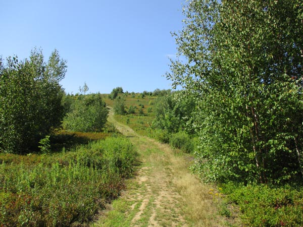 The Cameron Mountain Trail