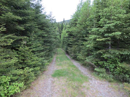 The continuation of the logging road 17.3 miles from Route 27