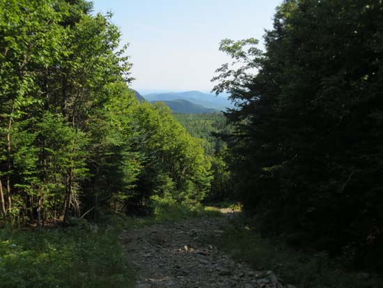 Looking down an old ski trail on the way to Coburn Mountain