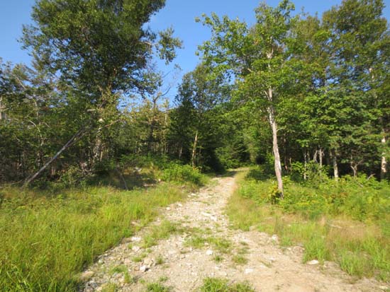 The start of the ATV trail to Coburn Mountain