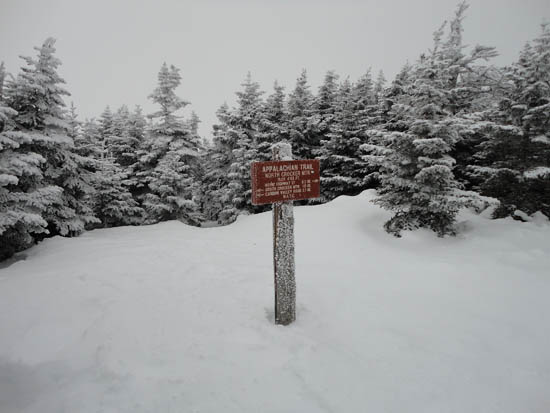No views in light snow flurries on Crocker Mountain - Click to enlarge