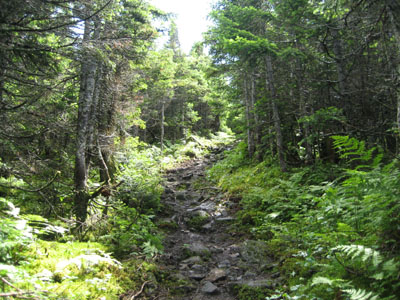 The Appalachian Trail between the Crockers