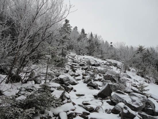 The Appalchian Trail on the way up to the Crockers