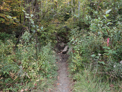 The Appalachian Trail crossing on Caribou Valley Road