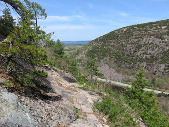 The Ladderback Trail