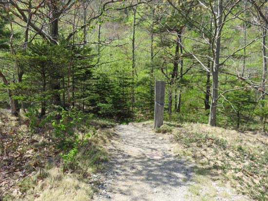 The Ladderback Trail trailhead off Route 3