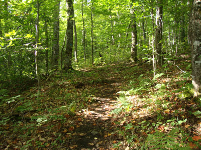 The flats near the beginning of the Doubletop Mountain Trail