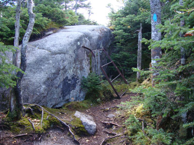 The small ladder near the top of the Doubletop Mountain Trail