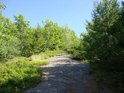 Looking up the Ledges Trail