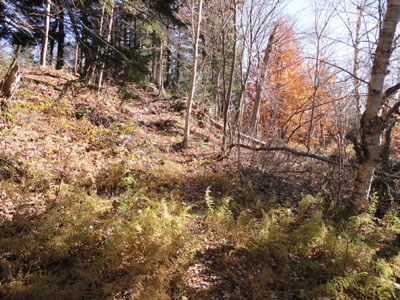 The Red Rock Trail on the way to Durgin Mountain