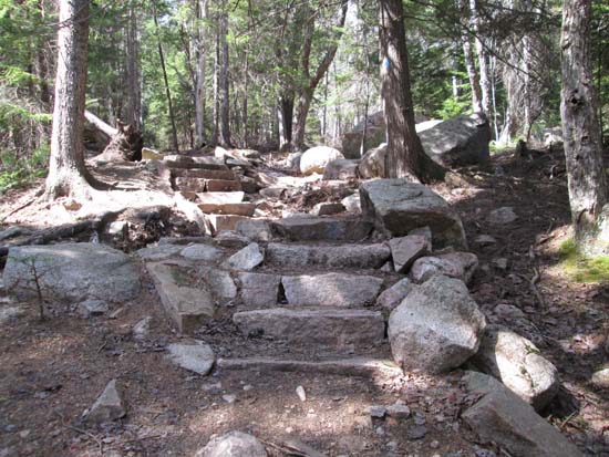 The Cadillac South Ridge Trail