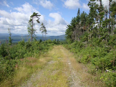 Looking down the logging road on the way to East Kennebago