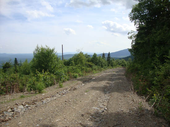 Looking down the logging road on the way to East Kennebago
