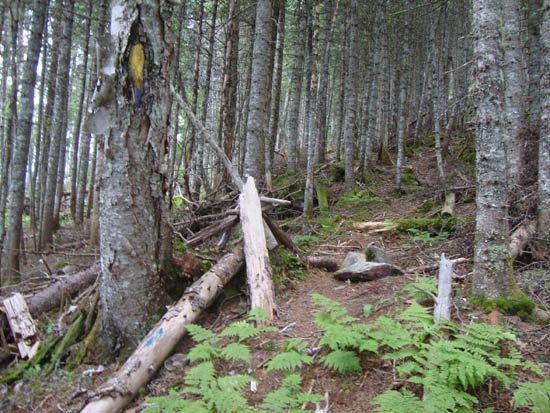 Departing the boundary swath onto a herd path