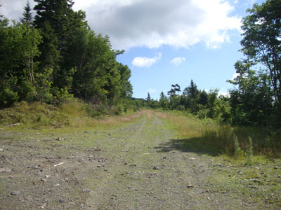 The beginning of the logging road walk