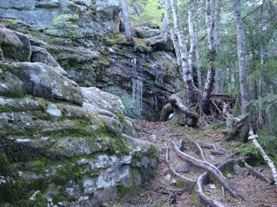 The East Royce Trail