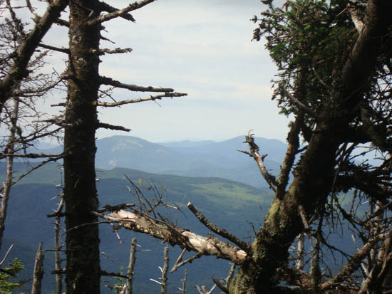Slight views toward the Grafton Notch area from near the summit of Elephant Mountain - Click to enlarge