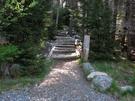 The Flying Mountain Trail trailhead off Fernald Point Road