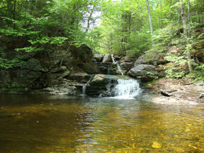 A nice pool near the Goose Eye Brook branch of the lower Wright Trail