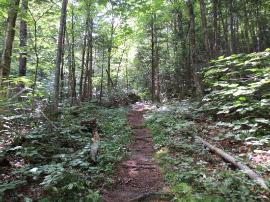 The Notch Trail