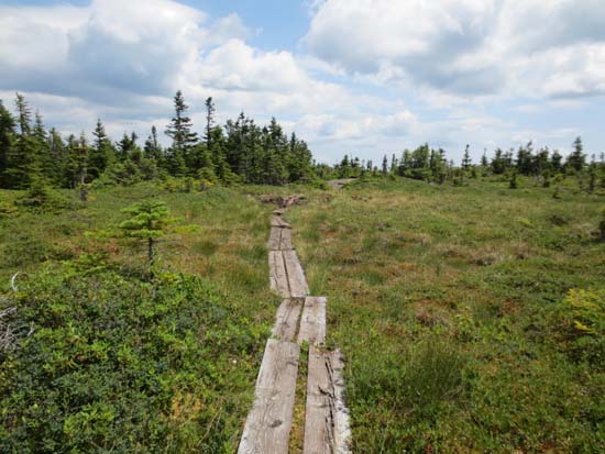 The Mahoosuc Trail