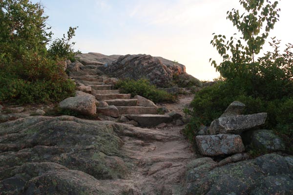 Looking up the Gorham Mountain Trail