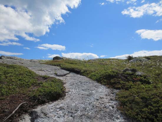 The Big Jackson Trail between Little Jackson and Jackson