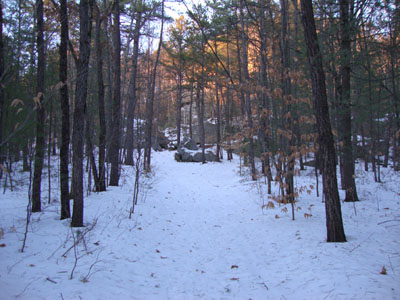 Looking up the Jockey Cap Trail