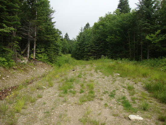The logging road to the col, adajacent to the last possible parking area