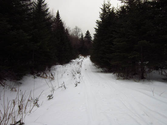 The logging road to the col, adajacent to the last possible parking area