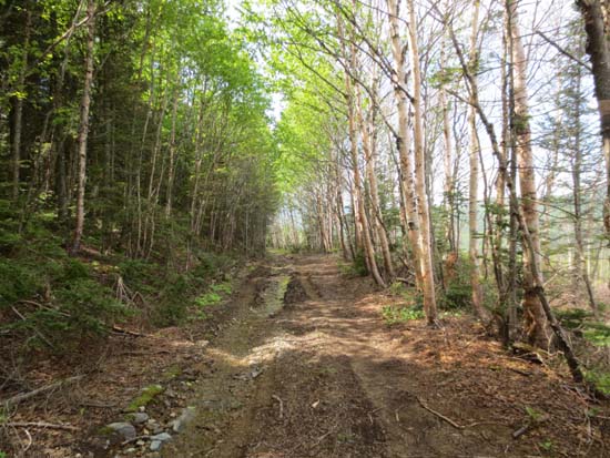 The ATV trail to Kibby Mountain