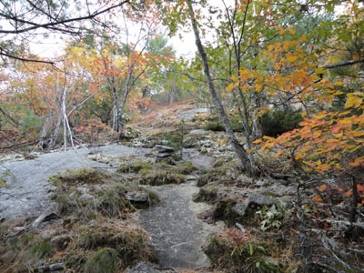 Looking up the Ledges Trail