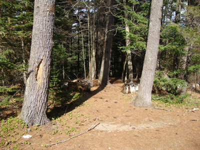 The Deer Hill Connector trailhead at the Baldface Circle parking area