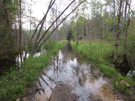 The flooded Conant Trail west of Pine Hill