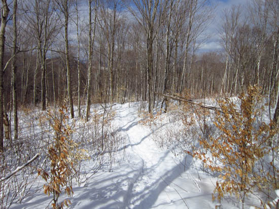 Looking down the Aziscohos Mountain Trail