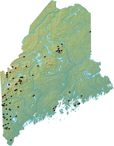 Maine Map