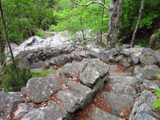 Looking down the Perpendicular Trail