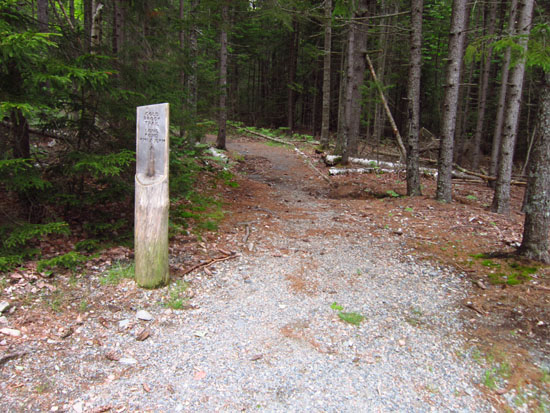 The Cold Brook Trail trailhead at Gilley Field