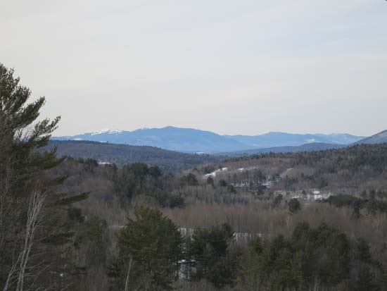 Looking toward Mt. Abraham from near the summit of Morrison Hill - Click to enlarge