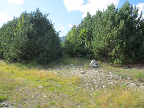 The grassy logging road marked with a cairn
