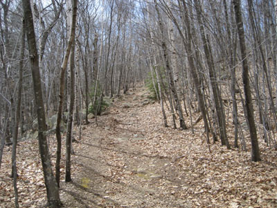 Looking up the Hairpin Turn trail on Mt. Agamenticus